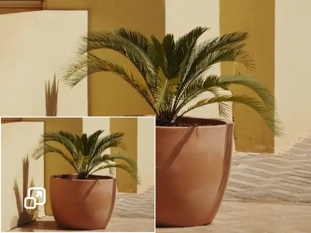 ridimensiona immagine preview