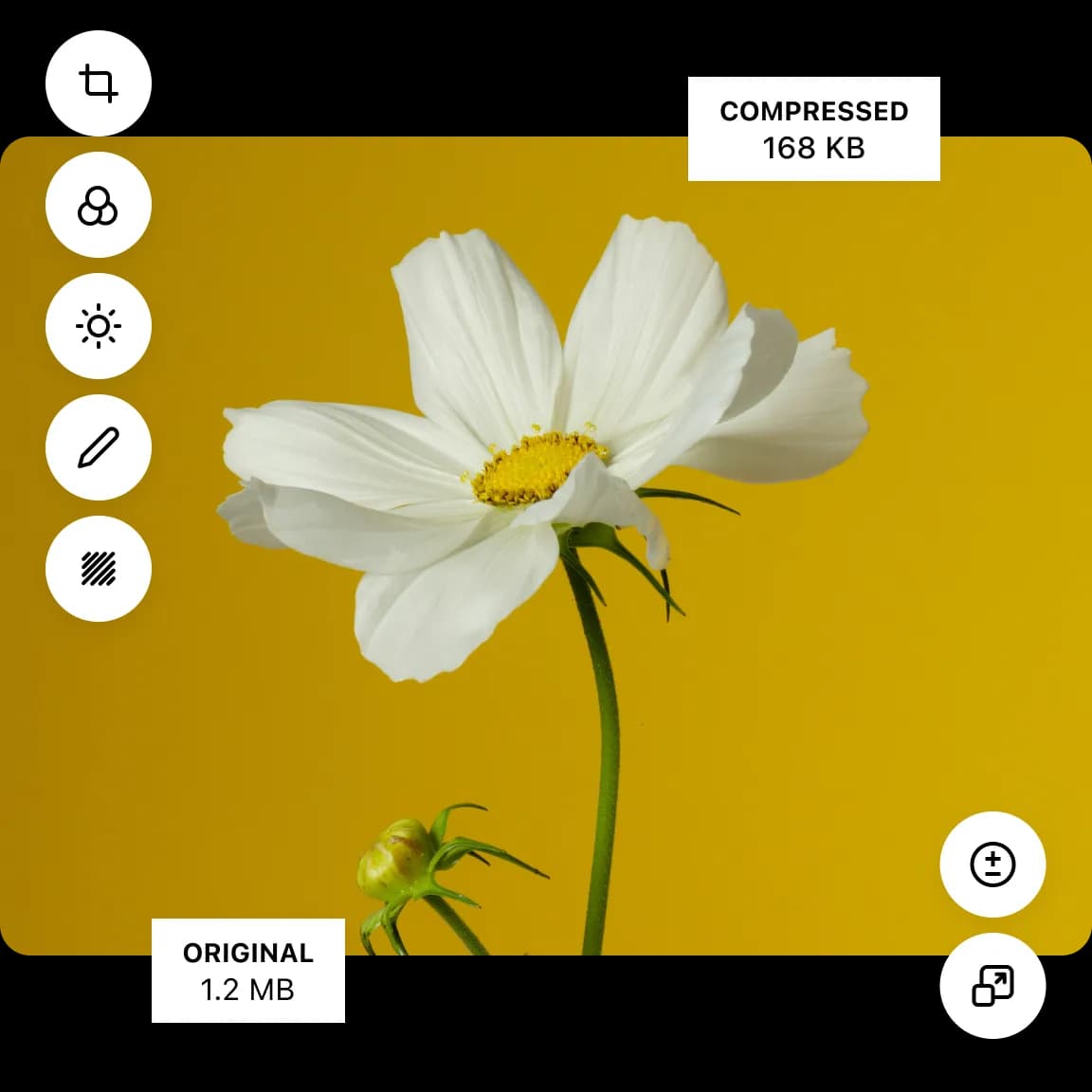 edit image locally in browser